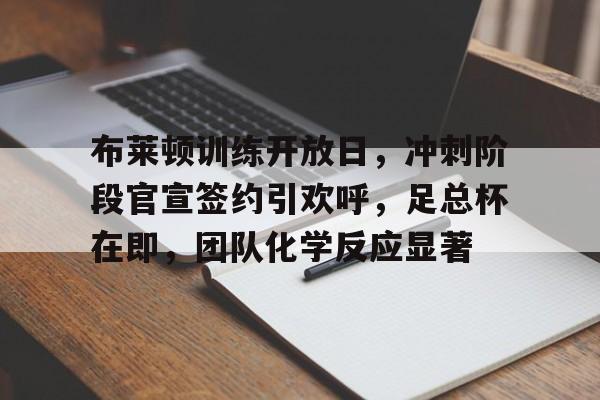 开云-关于布莱顿训练开放日，冲刺阶段官宣签约引欢呼，足总杯在即，团队化学反应显著的信息