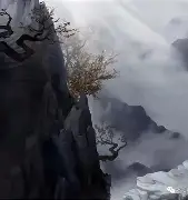 包含风云突变！纽卡斯尔清晨战术微调，欧超杯版图或变，压力陡增，年轻球员得到机会的词条