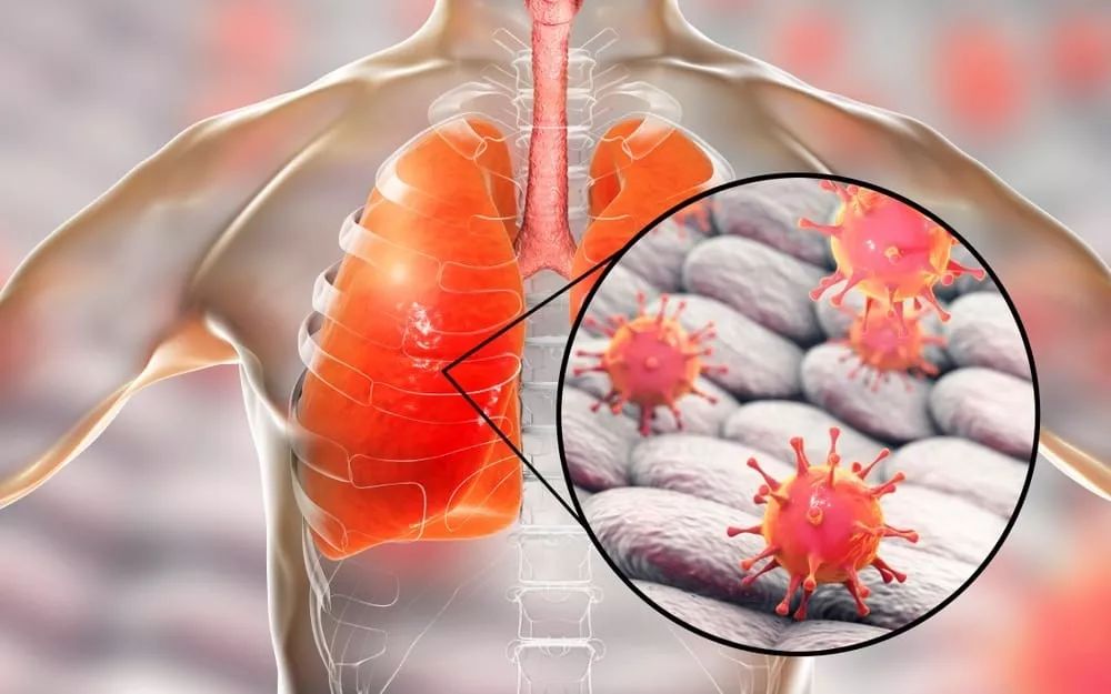 切尔西任命波切蒂诺为新任主帅