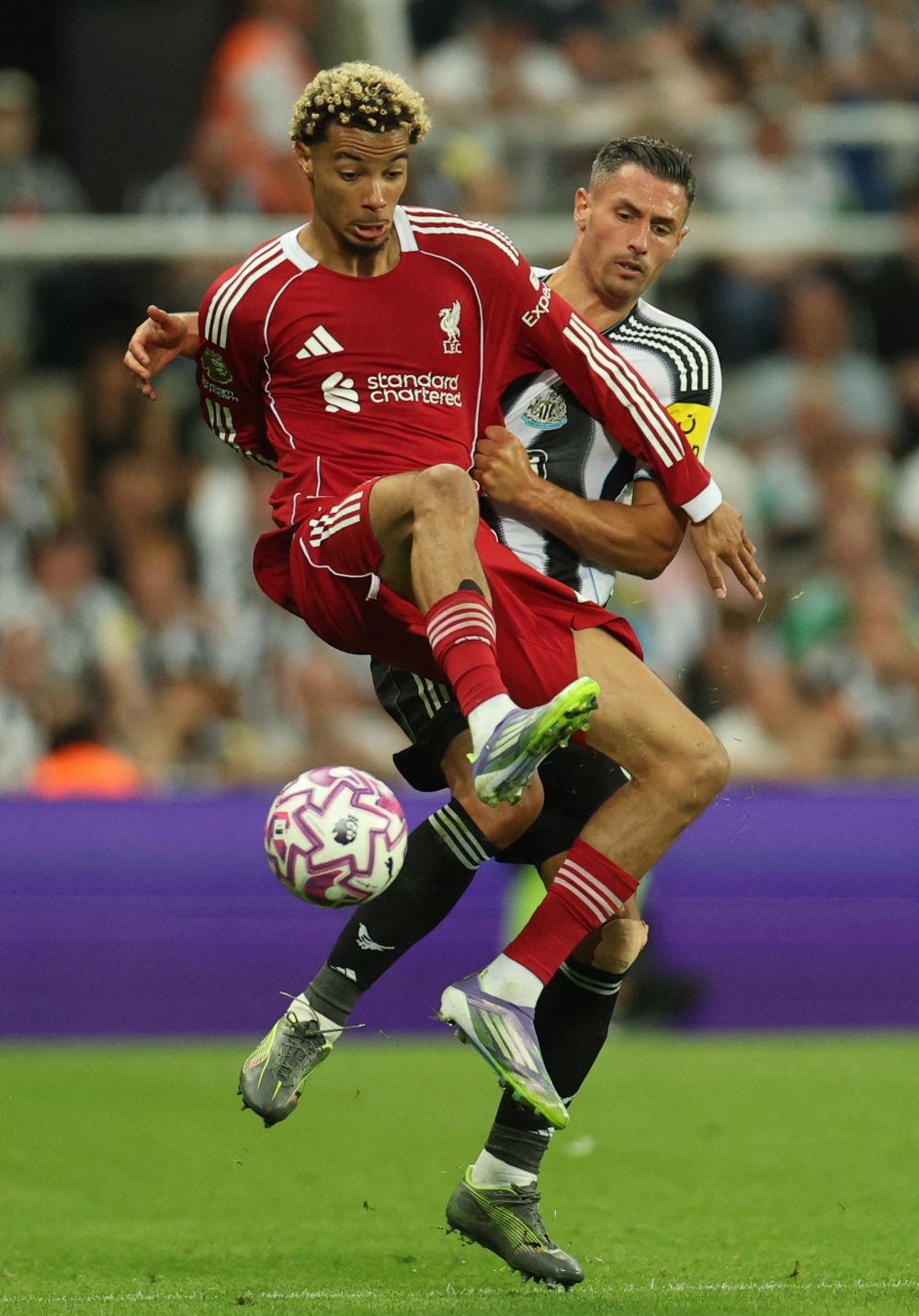 利物浦防线松动备战CBA季后赛转会期切尔西队长鼓劲——德甲节点到来之后，利物浦临场应变备战CBA常规赛的简单介绍